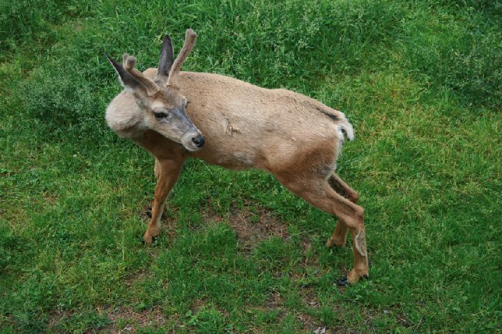 zoo 112.JPG